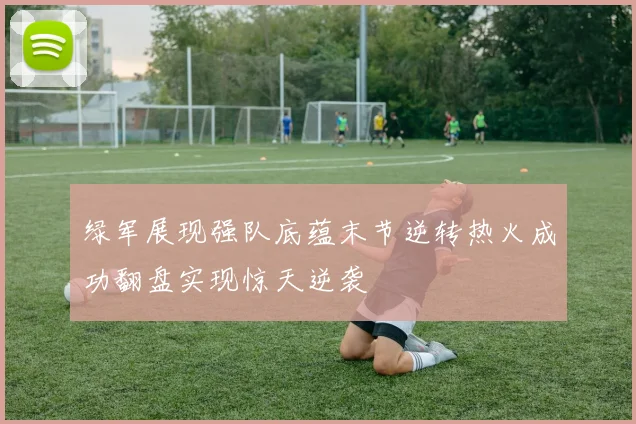 绿军展现强队底蕴末节逆转热火成功翻盘实现惊天逆袭